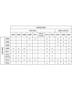 Anti-hCG beta 5004 SP-1