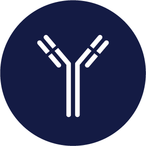 Prostate Specific Antigen (PSA) Antibody