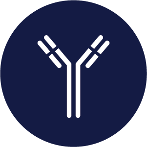 Benzoylecgonine (BE) Antibody