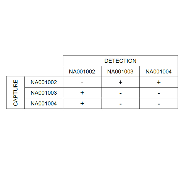 Anti-h PIC NA001002 SPTN-5